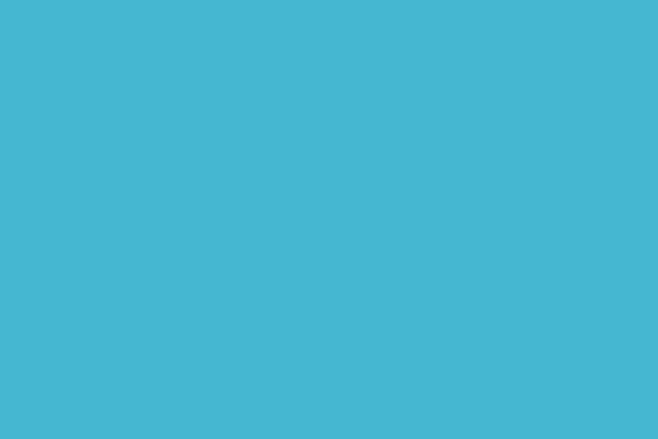 Linear AI Issue Management Interface